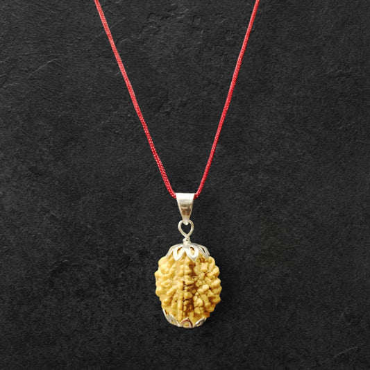 2 Mukhi Rudraksh