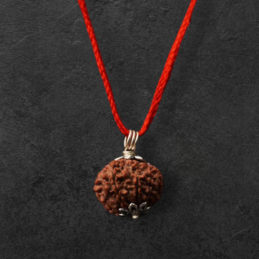 10 Mukhi Rudraksha Nepal
