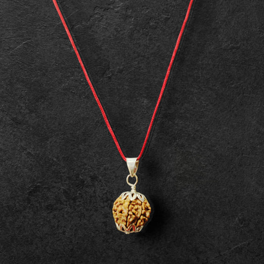 7 Mukhi Rudraksh Nepal