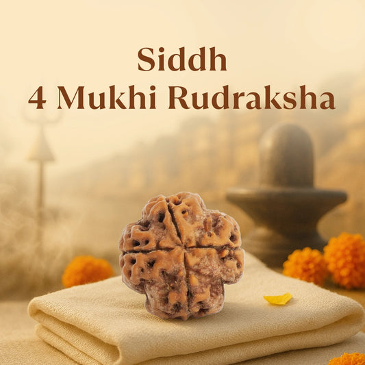 Kashi Siddh Nepal Origin 4 Mukhi Rudraksha