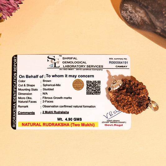 2 Mukhi Nepali Rudraksha - Do Mukhi