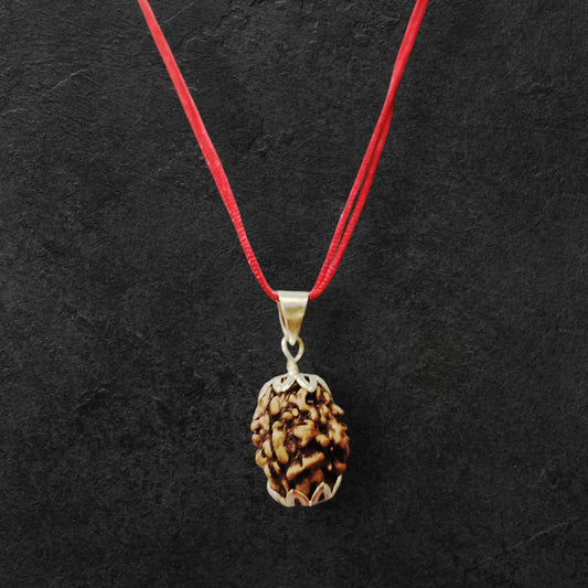 3 Mukhi Rudraksh Nepal