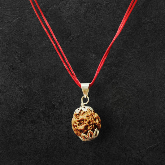 4 Mukhi Rudraksh Nepal