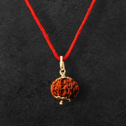 9 Mukhi Rudraksha Nepal