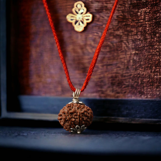 Kashi Siddh Nepal Origin 10 Mukhi Rudraksha