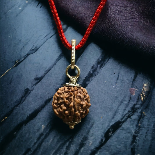 Kashi Siddh Nepal Origin 5 Mukhi Rudraksha