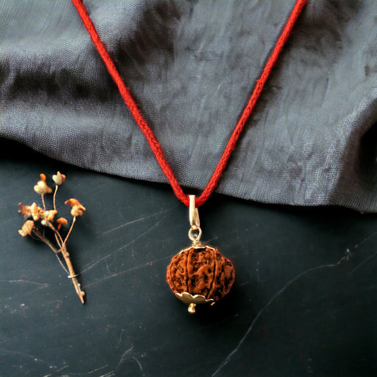 Kashi Siddh Nepal Origin 9 Mukhi Rudraksha