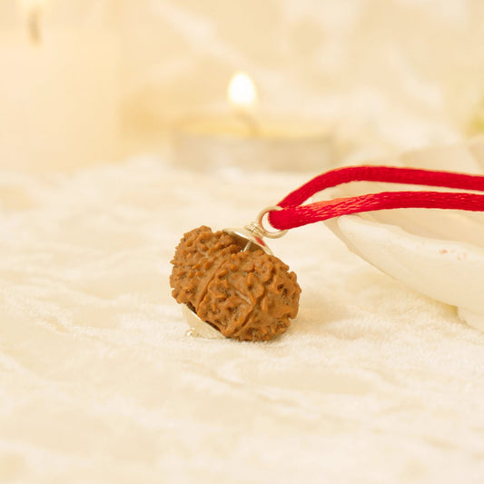 Kashi Siddh Nepal Origin 11 Mukhi Rudraksha