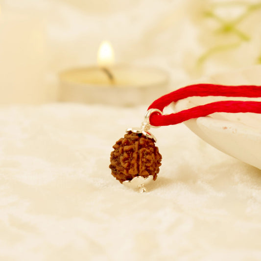 Kashi Siddh Nepal Origin 3 Mukhi Rudraksha