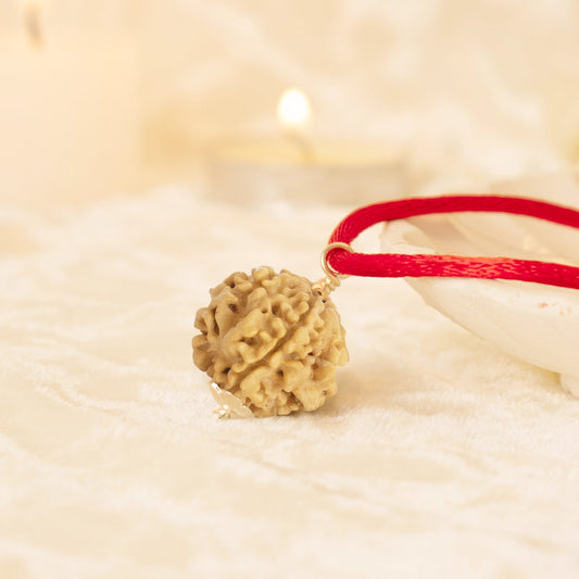 Kashi Siddh Nepal Origin 1 Mukhi Rudraksha