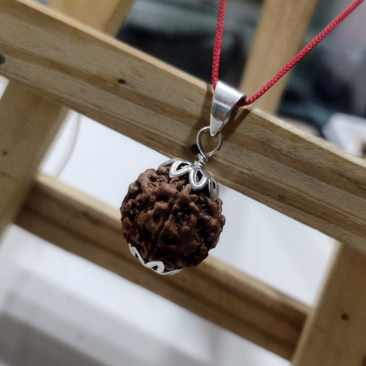 5 Mukhi Rudraksh Nepal