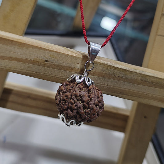 6 Mukhi Rudraksh Nepal
