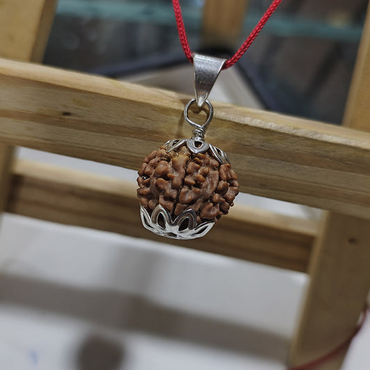 7 Mukhi Rudraksh Nepal