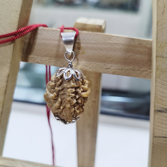 2 Mukhi Rudraksh