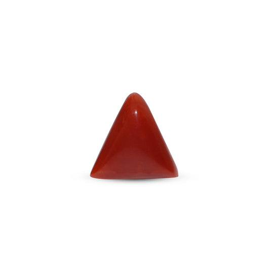 Red Coral (Moonga) Italy